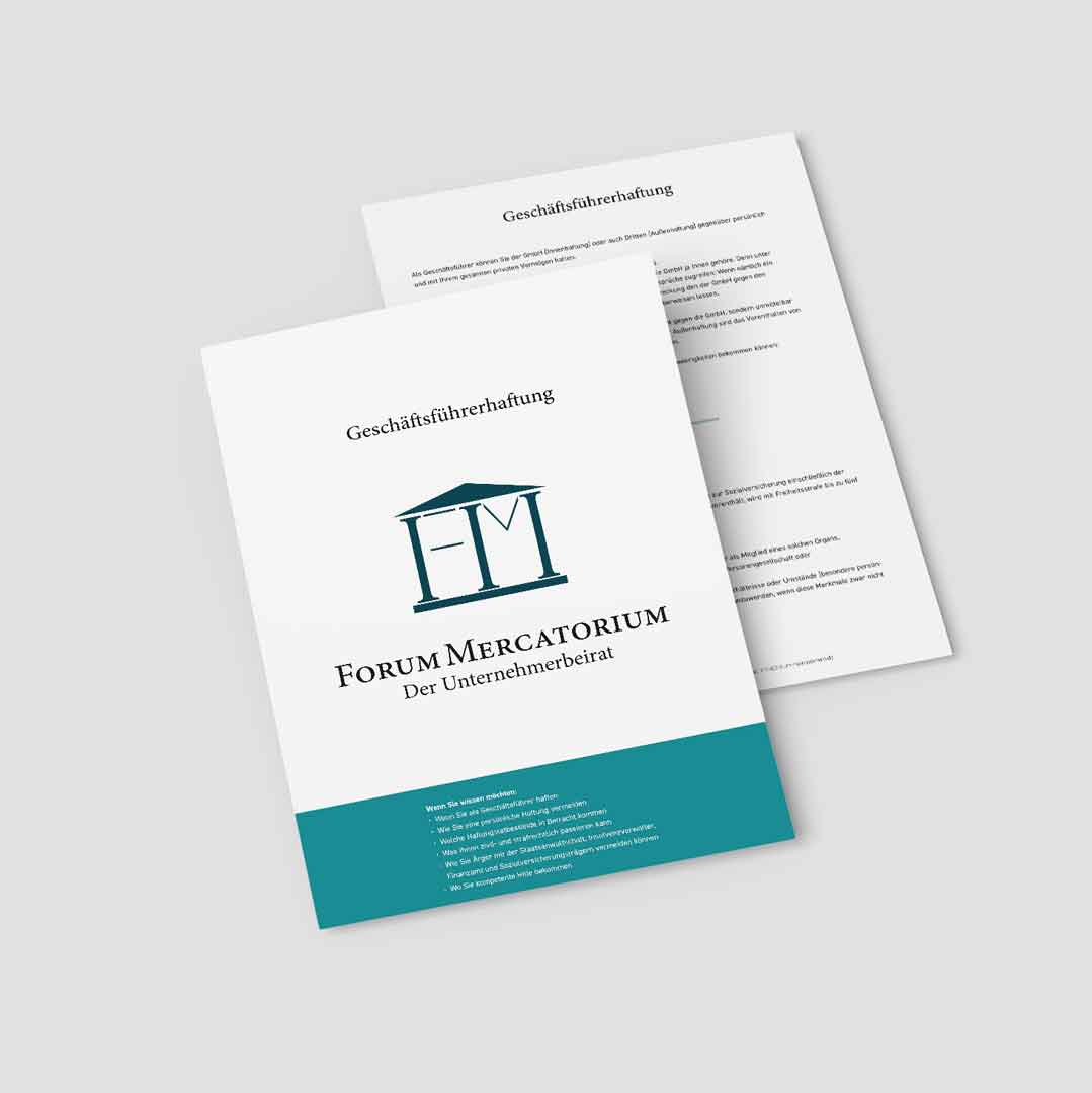 PDF-Download zum Thema Geschäftsführerhaftung
