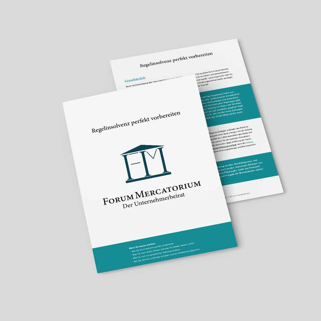PDF-Download zum Thema Regelinsolvenz perfekt vorbereiten
