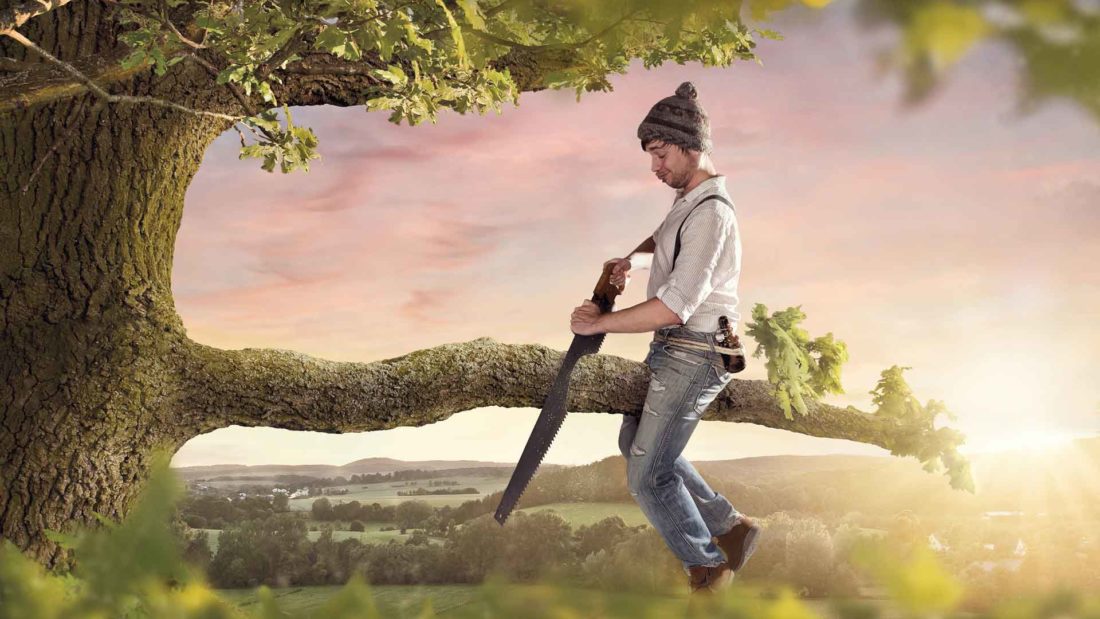 Haftung des Geschäftsführers